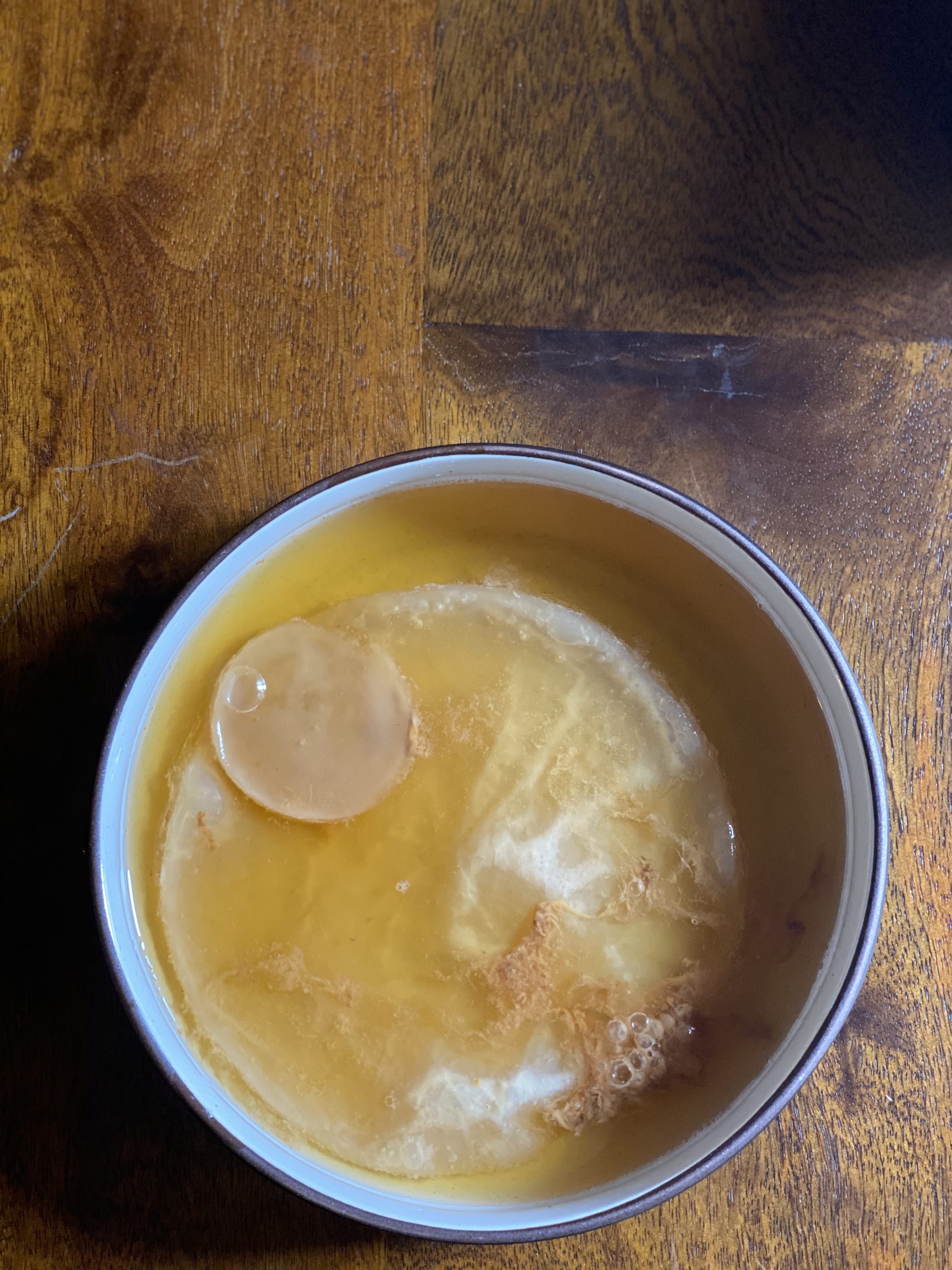 HomeBrewed Kombucha Root to Fork